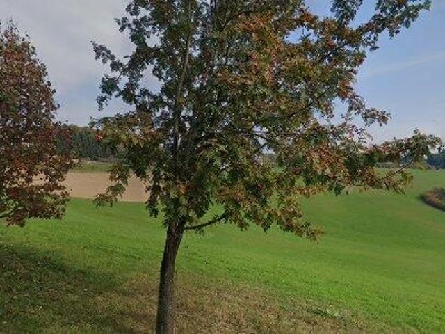 Apartment mieten in Eggersdorf, Steiermark