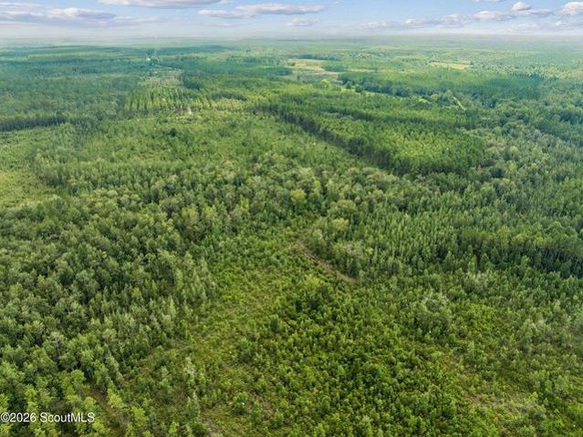 Land for sale in Kingsland, Georgia