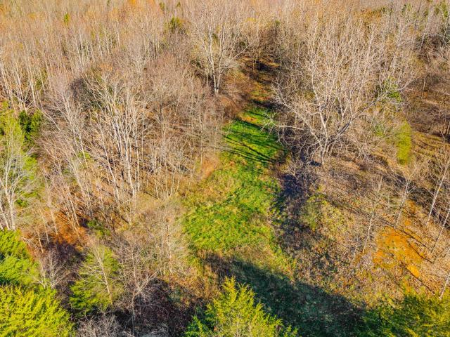Land for sale in Tennessee