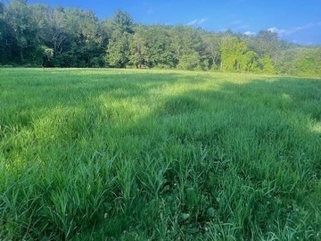 Land for sale in Eastford, Connecticut