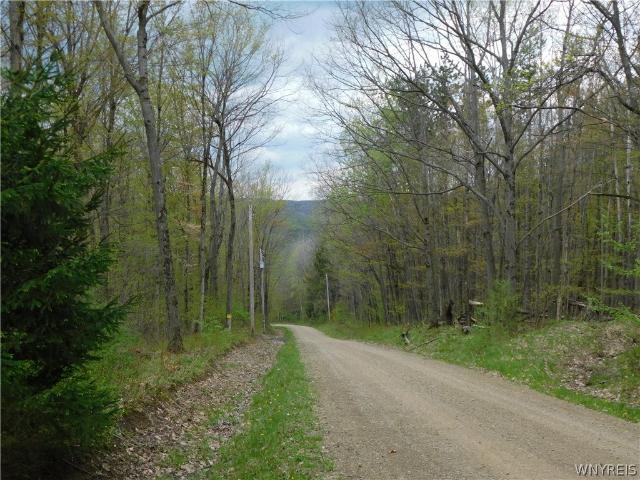 Land for sale in Cuba, New York