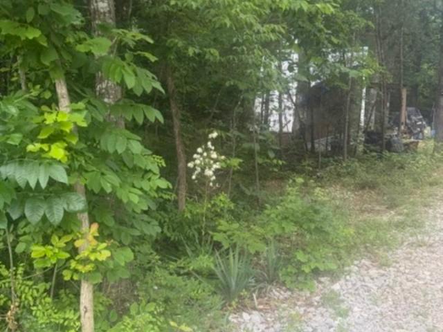 Land for sale in Burnside, Kentucky