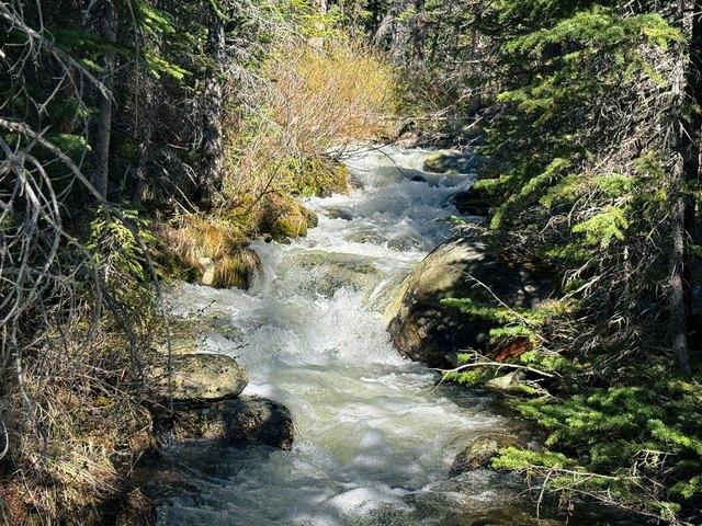 Land for sale in Anaconda, Montana