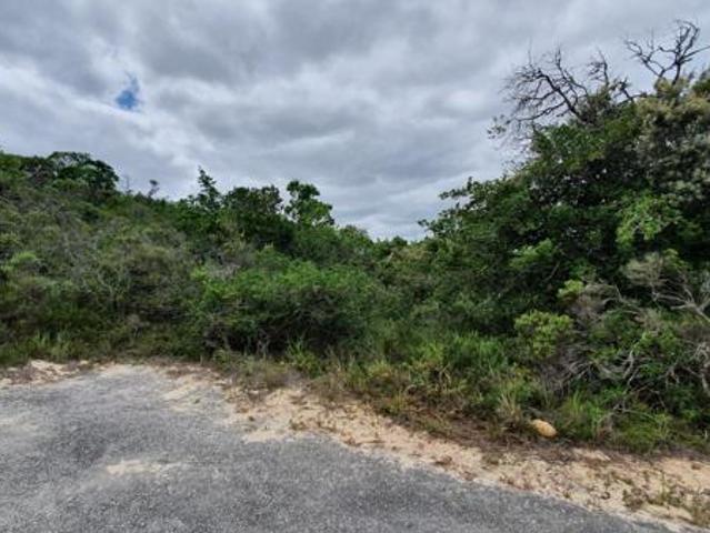 Land for sale in Eastern Cape