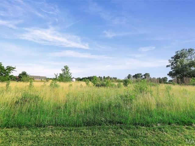 Land for sale in Worden, Illinois