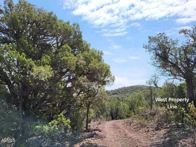 Land for sale in Williams, Arizona