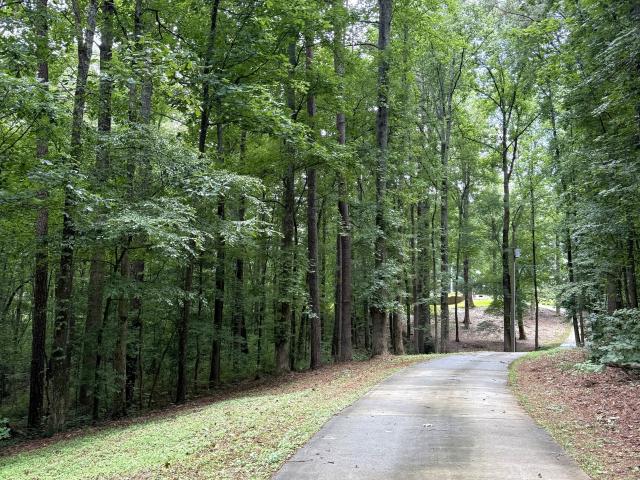 House for sale in Villa Rica, Georgia