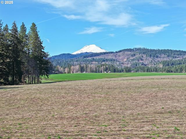 House for sale in White Salmon, Washington