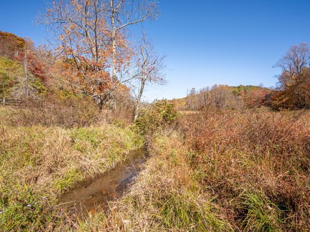 Land for sale in Virginia