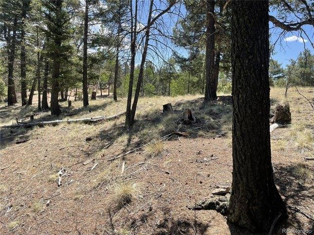 Land for sale in Teller, Colorado
