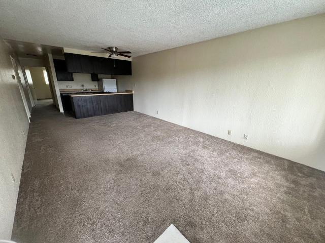 Apartment for rent in Spring Valley