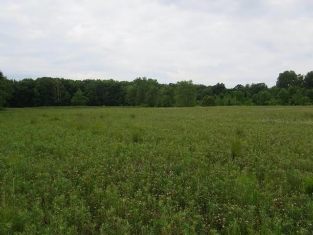Land for sale in Mount Vernon, Knox County