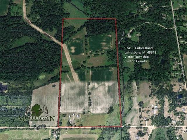 House for sale in Laingsburg, Shiawassee County
