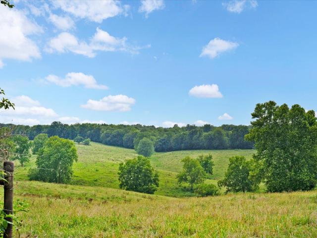 Land for sale in Walnut Grove, Missouri