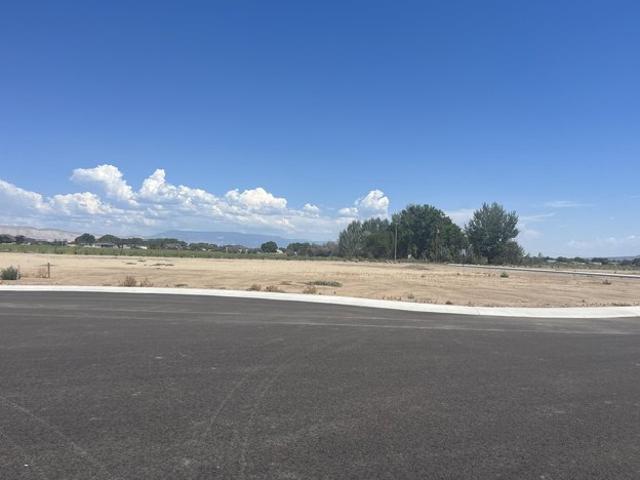 Land for sale in Fruita, Mesa County