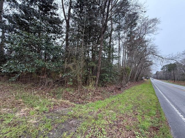 Land for sale in Cottageville, South Carolina