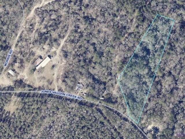 Land for sale in Saint Francisville, Louisiana