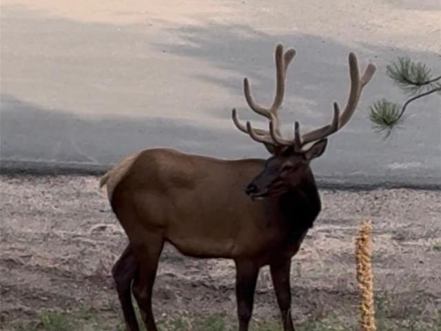 House for sale in Conifer, Colorado