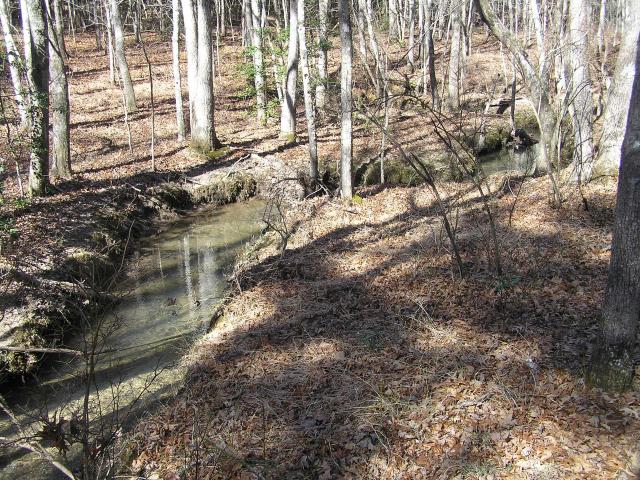 Land for sale in Middle Tennessee, Tennessee
