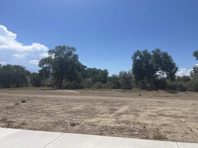 Land for sale in Fruita, Colorado