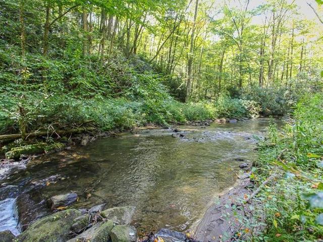 Land for sale in Robbinsville, Graham County