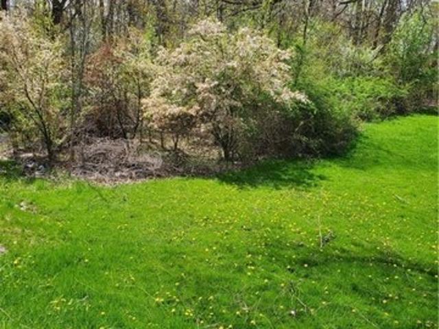 Land for sale in Chagrin Falls, Ohio
