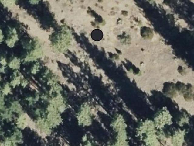 Land for sale in Portola, Plumas County