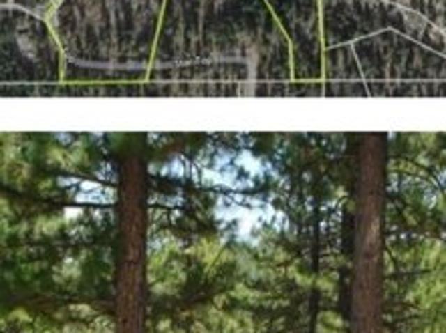 Land for sale in Portola, California