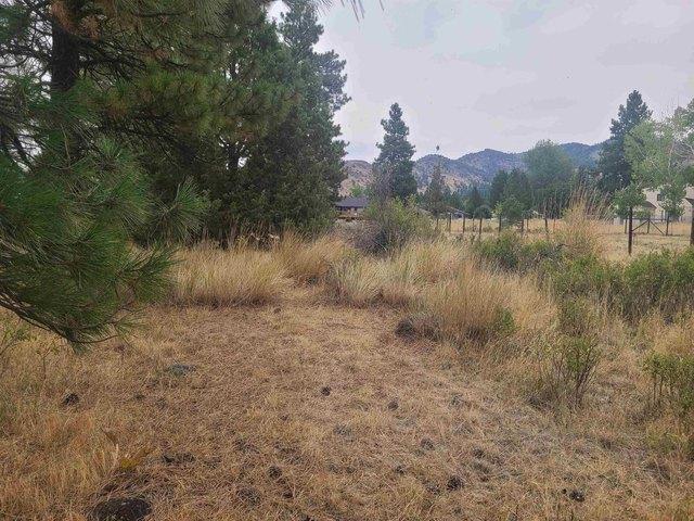 Land for sale in Loyalton, California