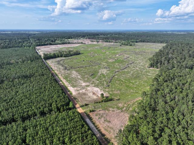 Land for sale in Groveton, Texas