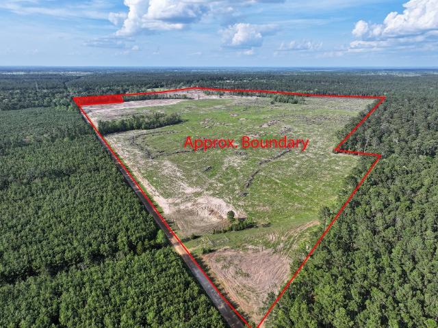 Land for sale in Groveton, Texas