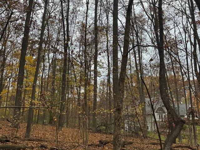 Land for sale in Hamburg, Michigan