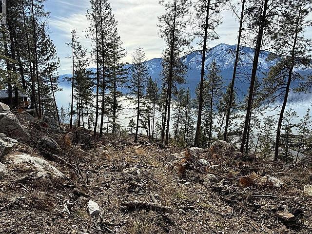 Land for sale in Sirdar, British Columbia