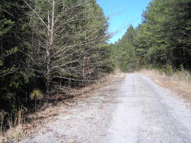 Land for sale in Tennessee