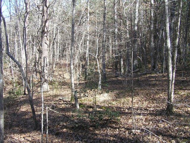 Land for sale in Tennessee