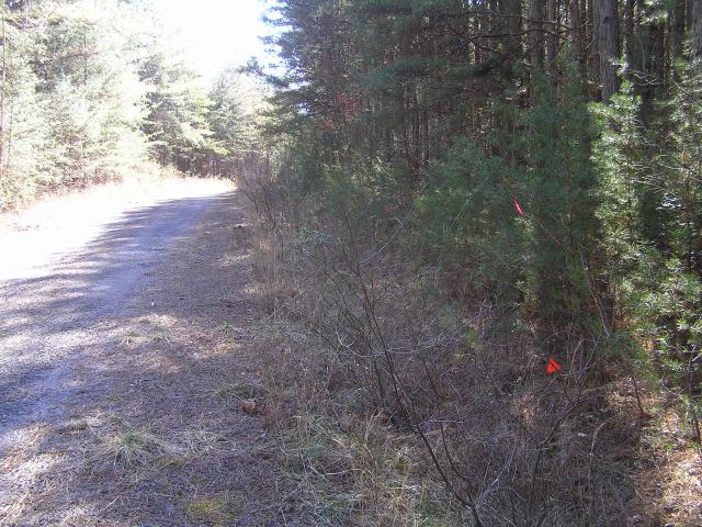 Land for sale in Tennessee