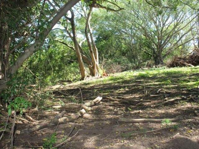 Land for sale in Bushmans River Mouth, Eastern Cape
