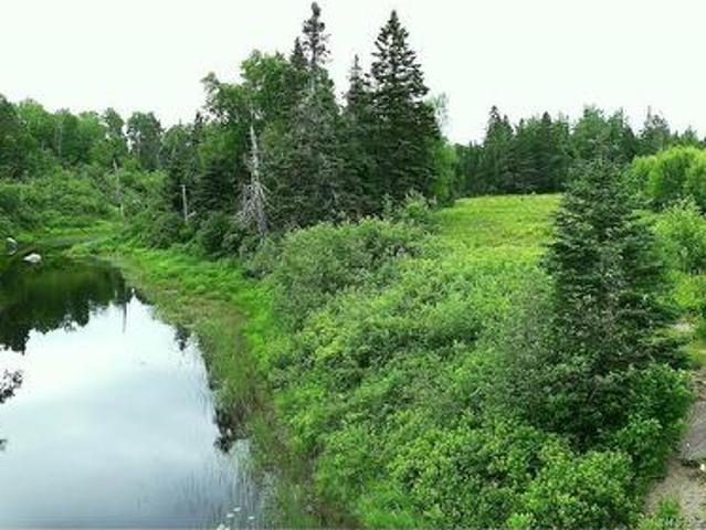 Land for sale in Charlotte, New Brunswick