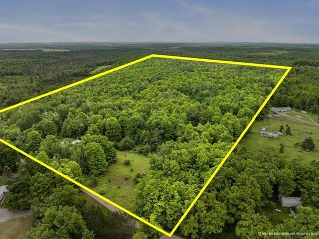 Land for sale in Onaway, Michigan