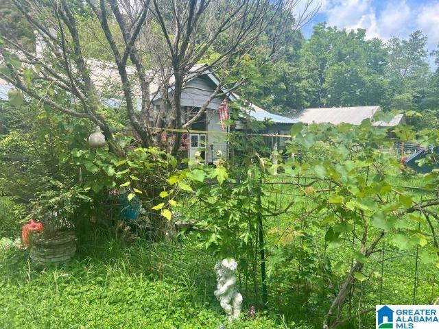 House for sale in Odenville, Alabama