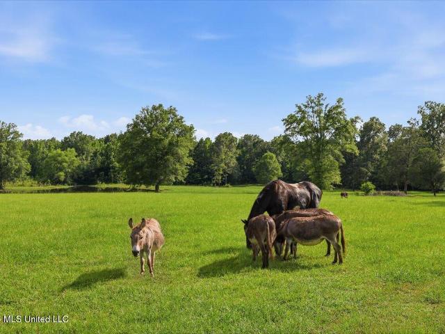 House for sale in Morton, Rankin County