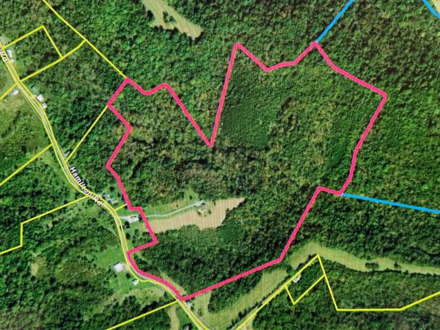 Farm for sale in Brooksville, Bracken County