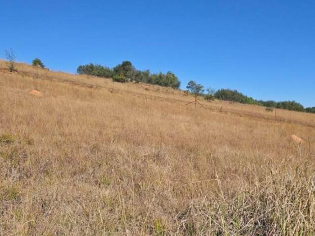 Land for sale in Dullstroom, Mpumalanga