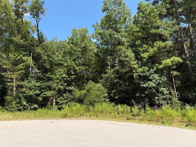 Land for sale in Walker, Texas