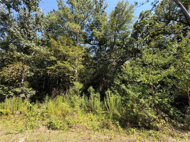 Land for sale in Walker, Texas