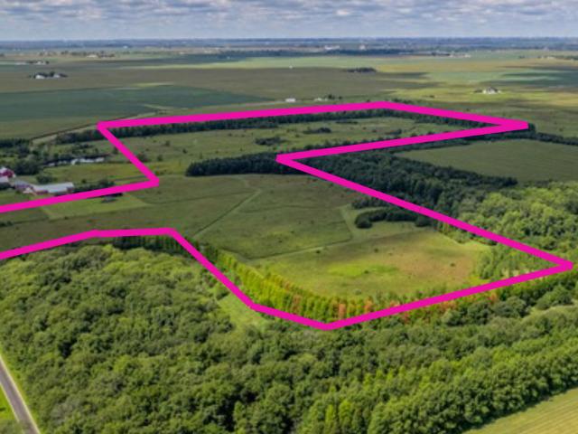 Land for sale in Ashkum, Illinois