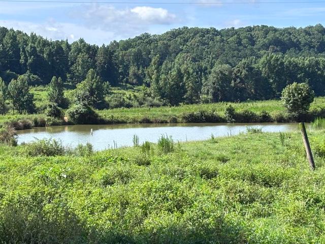 Land for sale in Valley Head, Alabama