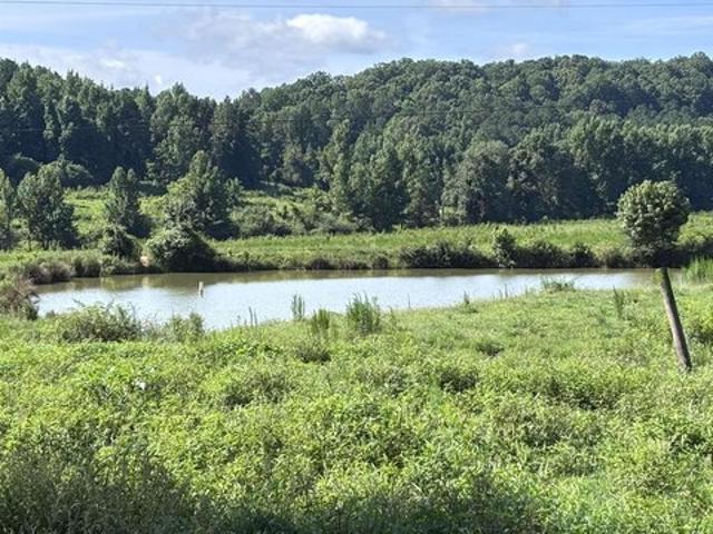 Land for sale in Valley Head, DeKalb County