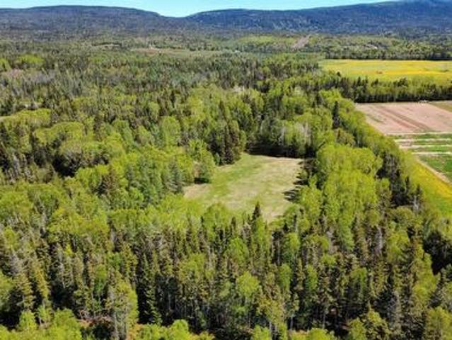 Land for sale in Pasadena, Newfoundland And Labrador