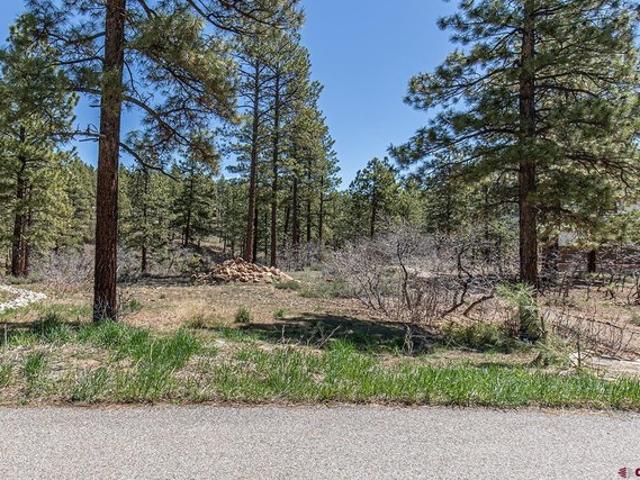 Land for sale in La Plata, Colorado